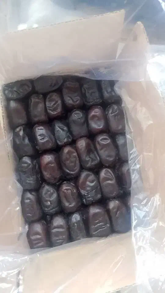 خرمای عسلی مرداسنگ|خوردنی و آشامیدنی|ری, شهرک نظامی|دیوار