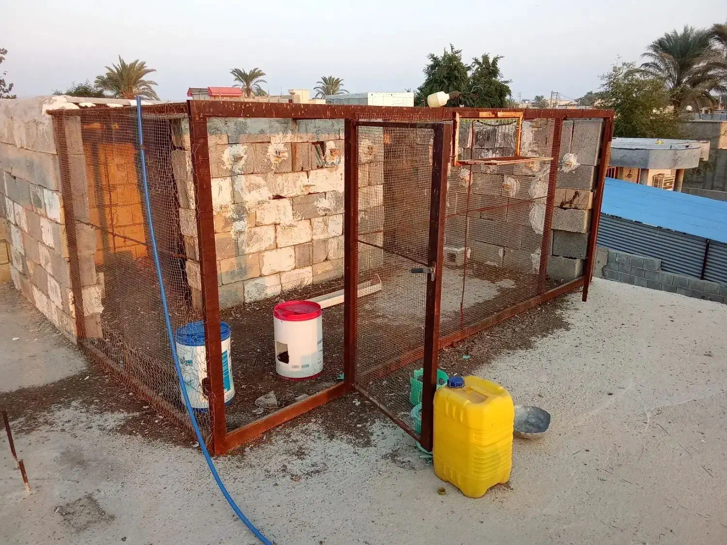 قفس کبوتر|لوازم جانبی حیوانات|کنار تخته و کمار, |دیوار