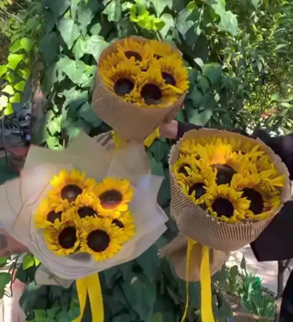 دسته گل آفتابگردون بقچه ایی|گل و گیاه طبیعی|تهران, ورزشگاه آزادی|دیوار