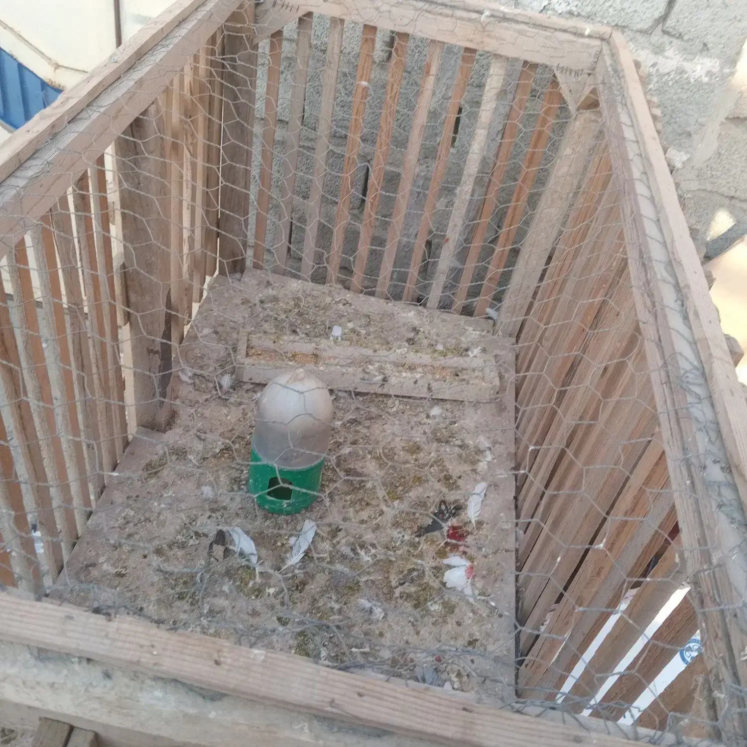 قفس|لوازم جانبی حیوانات|نقده, |دیوار