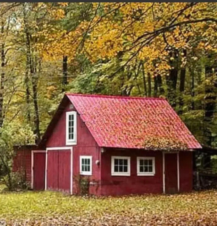 فروش ملک کلنگی انتهای فرجی|فروش زمین و ملک کلنگی|ساری, |دیوار