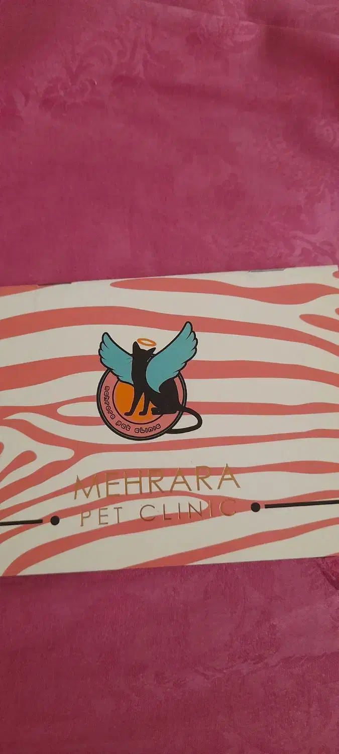 سگ شیتزو|سگ|مشهد, عامل|دیوار