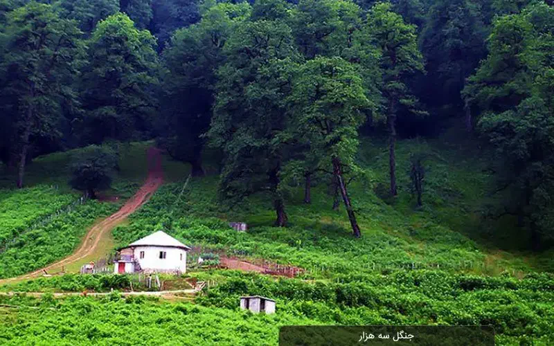 تور شمال / مازندران|تور و چارتر|شیراز, سینما سعدی|دیوار