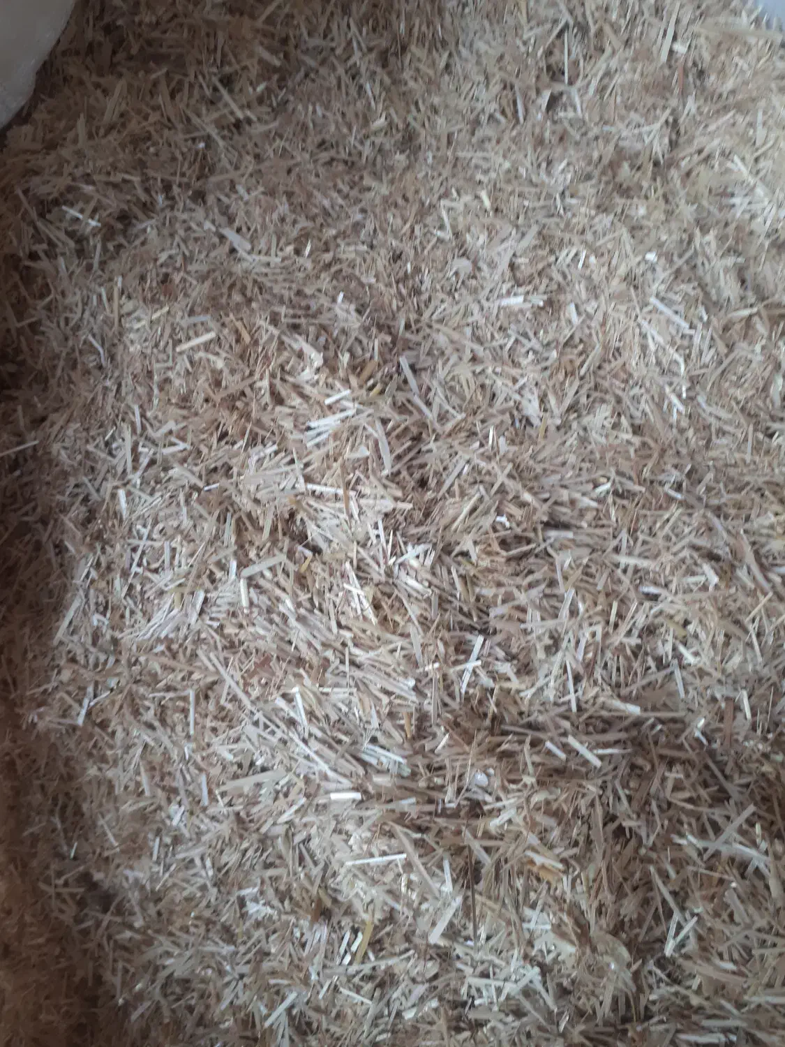 کاه گندم|لوازم جانبی حیوانات|آشخانه, |دیوار