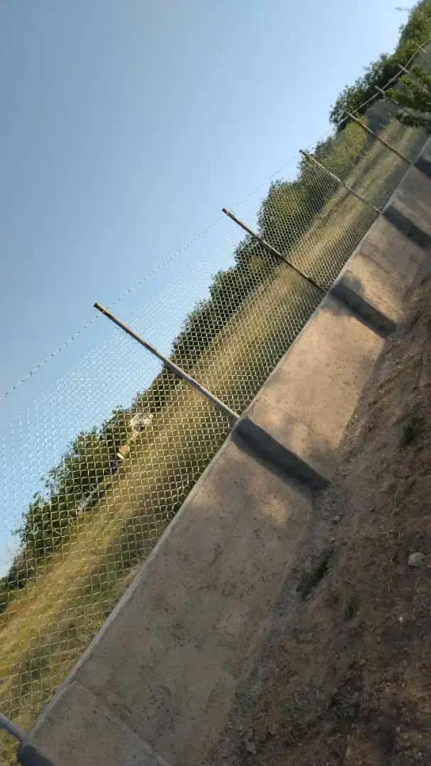 فنس کشی نصف فنس|خدمات باغبانی و درختکاری|رباطکریم, شترخوار|دیوار