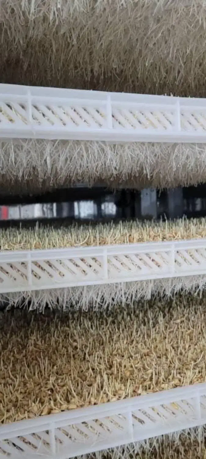 دستگاه جوانه ساز اتومات صنعتی|ماشین‌آلات صنعتی|تهران, پامنار|دیوار