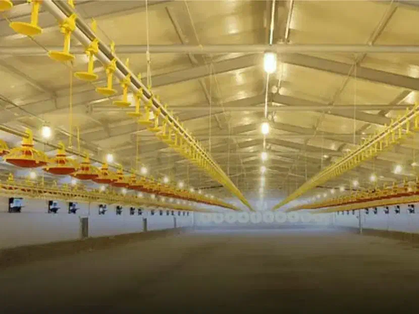 سرایدار و نظافت چی و..|استخدام سرایداری و نظافت|گنبد کاووس, |دیوار