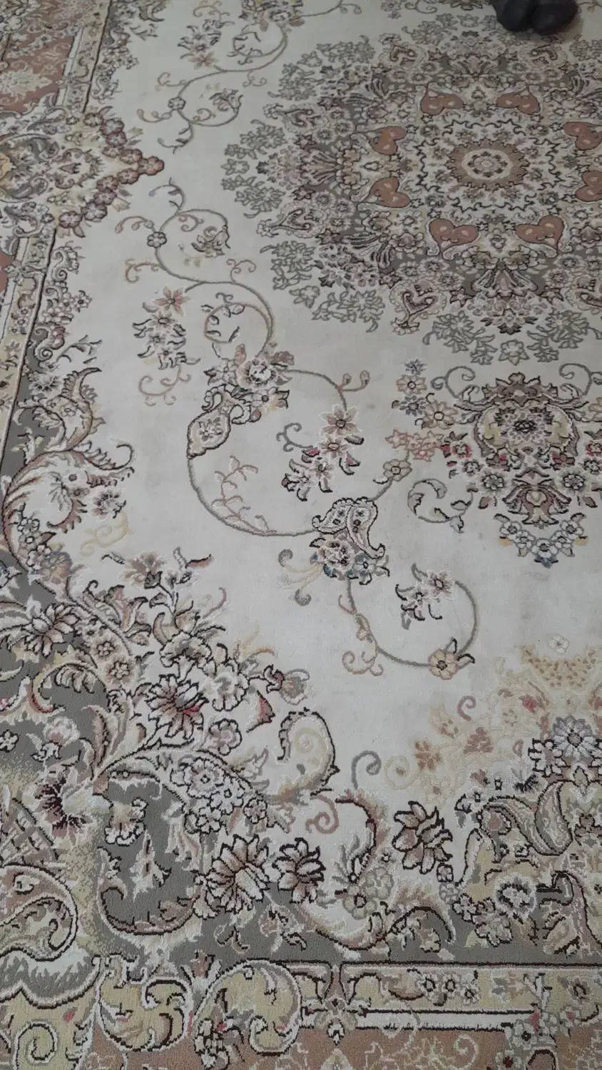 فرش ۶متری|فرش|کرمانشاه, |دیوار