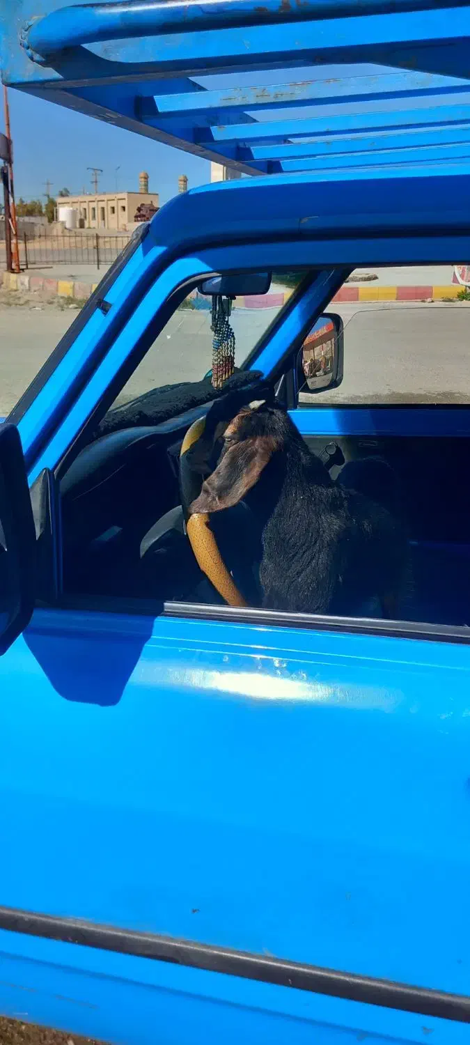 حمل بار با وانت نیسان|خدمات حمل و نقل|ایلام, |دیوار