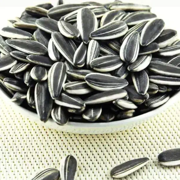 تخمه آفتابگردان|عمده‌فروشی|سرپل ذهاب, |دیوار