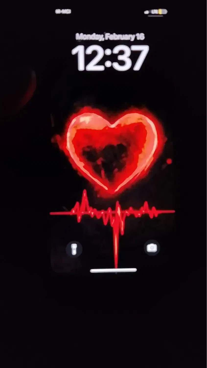 آیفون xs|موبایل|اردبیل, |دیوار