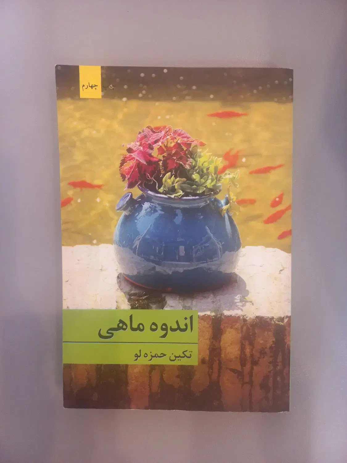 رمان ایرانی اندوه ماهی|کتاب و مجله ادبی|تهران, حکیمیه|دیوار