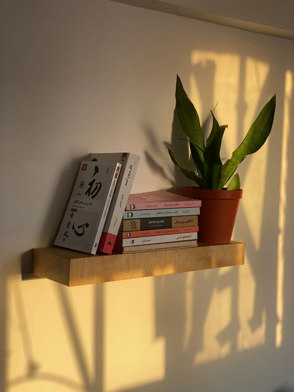 شلف پایه مخفی plywood|کتابخانه، شلف، قفسههای دیواری|تهران, وردآورد|دیوار