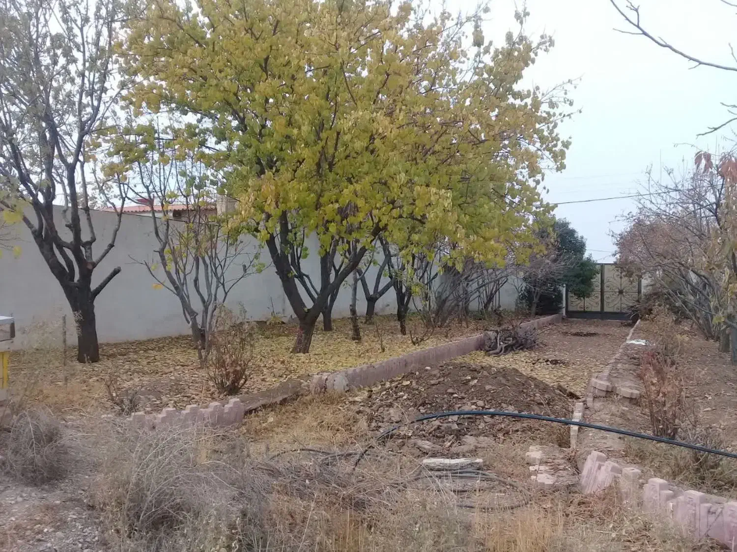 فروش زمین چهار دیواری انشعابات وصل سند تک برگ|فروش زمین و ملک کلنگی|بشاریات, |دیوار