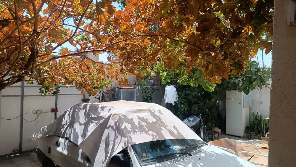 فروش خانه ویلایی در بلوار رحمت|فروش خانه و ویلا|شیراز, تندگویان|دیوار