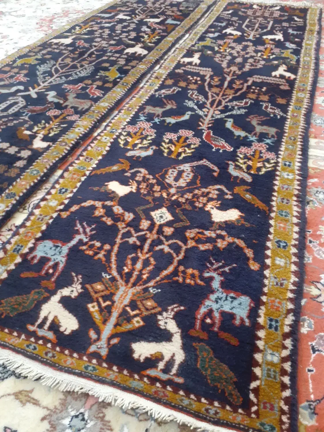 کناره اردبیل|فرش|اردبیل, |دیوار