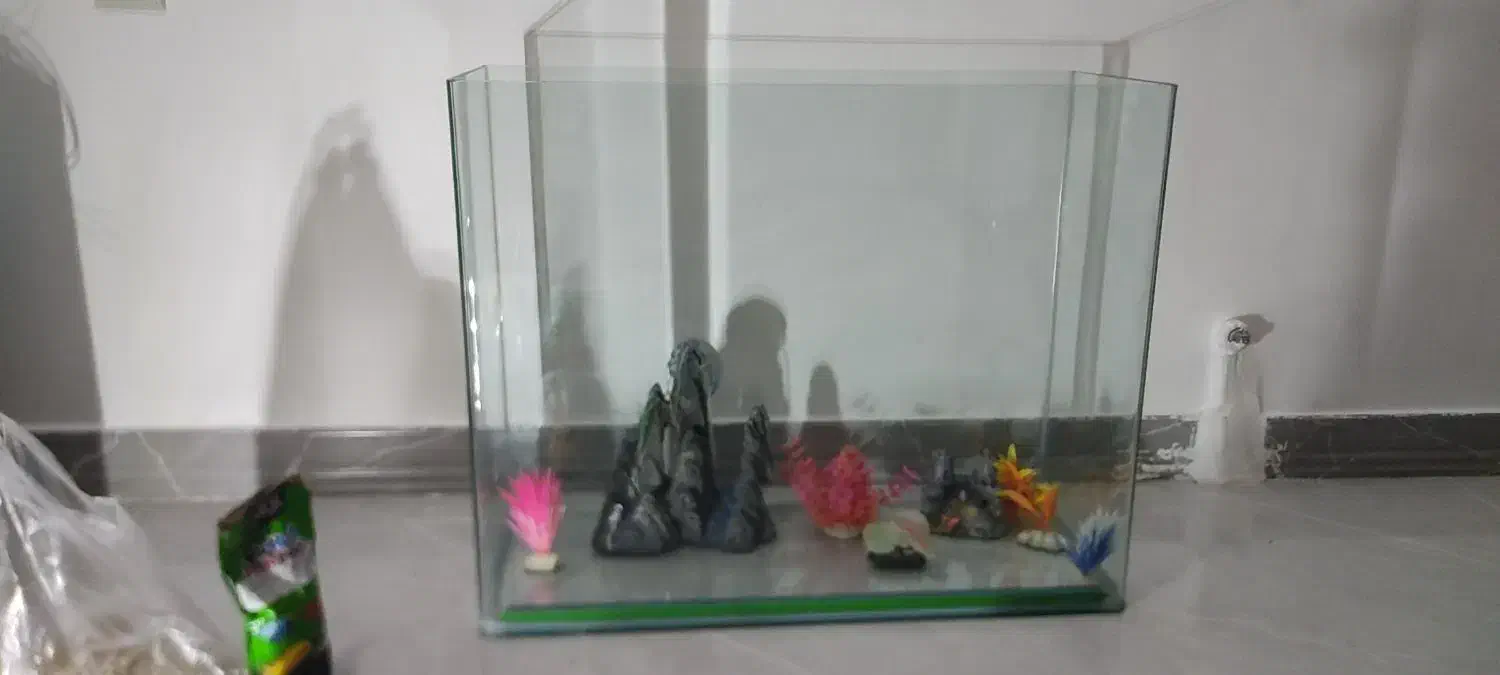 آکواریوم و لوازم تزیینی|ماهی|ایلام, |دیوار