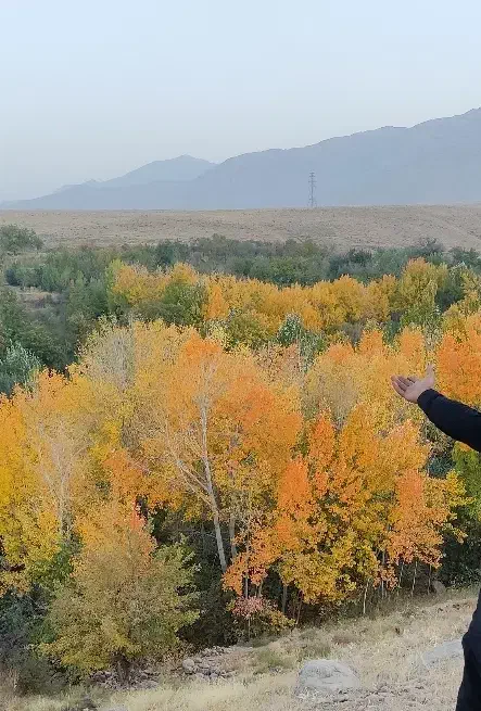 راهنمایی تفریحی و افسردگی|فعالیت داوطلبانه تحقیقاتی|مشهد, سجادیه|دیوار