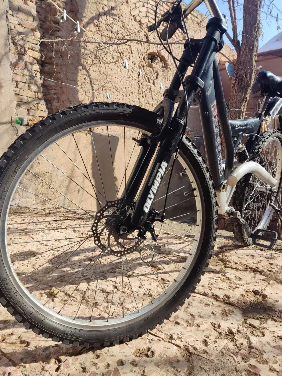 دوچرخه|دوچرخه، اسکیت، اسکوتر|تربت جام, حافظ|دیوار