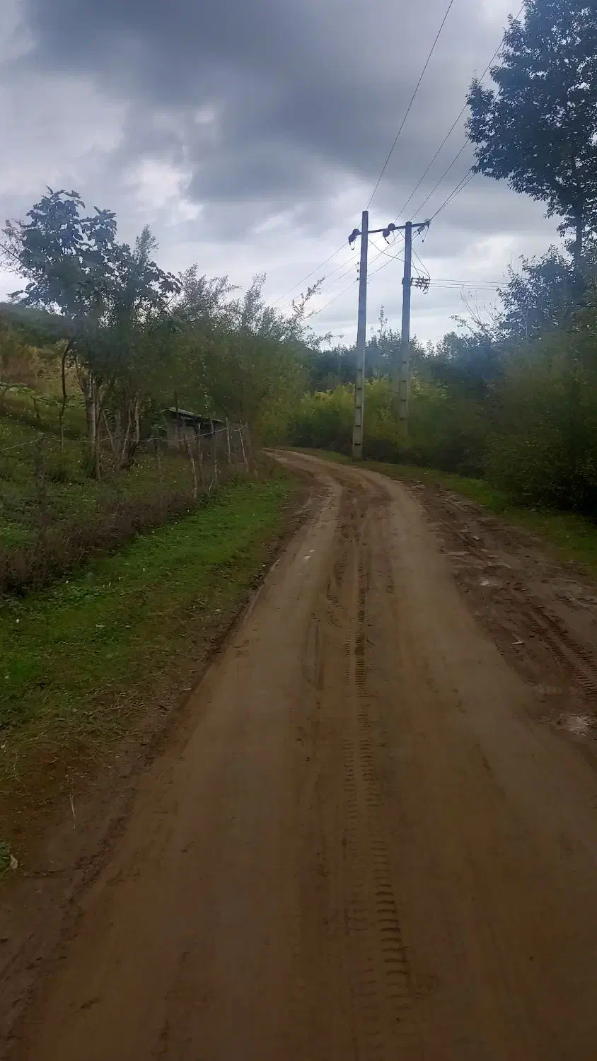 ۵۰۰متر زمین مسکونی/پلاک اول جنگل|فروش زمین و ملک کلنگی|رضوانشهر, |دیوار