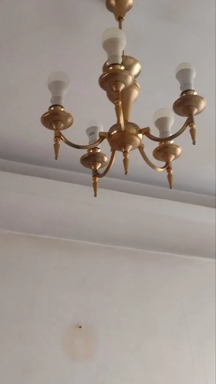 لوستر پنج شاخه|لوستر و چراغ آویز|پردیس, فاز ۸|دیوار