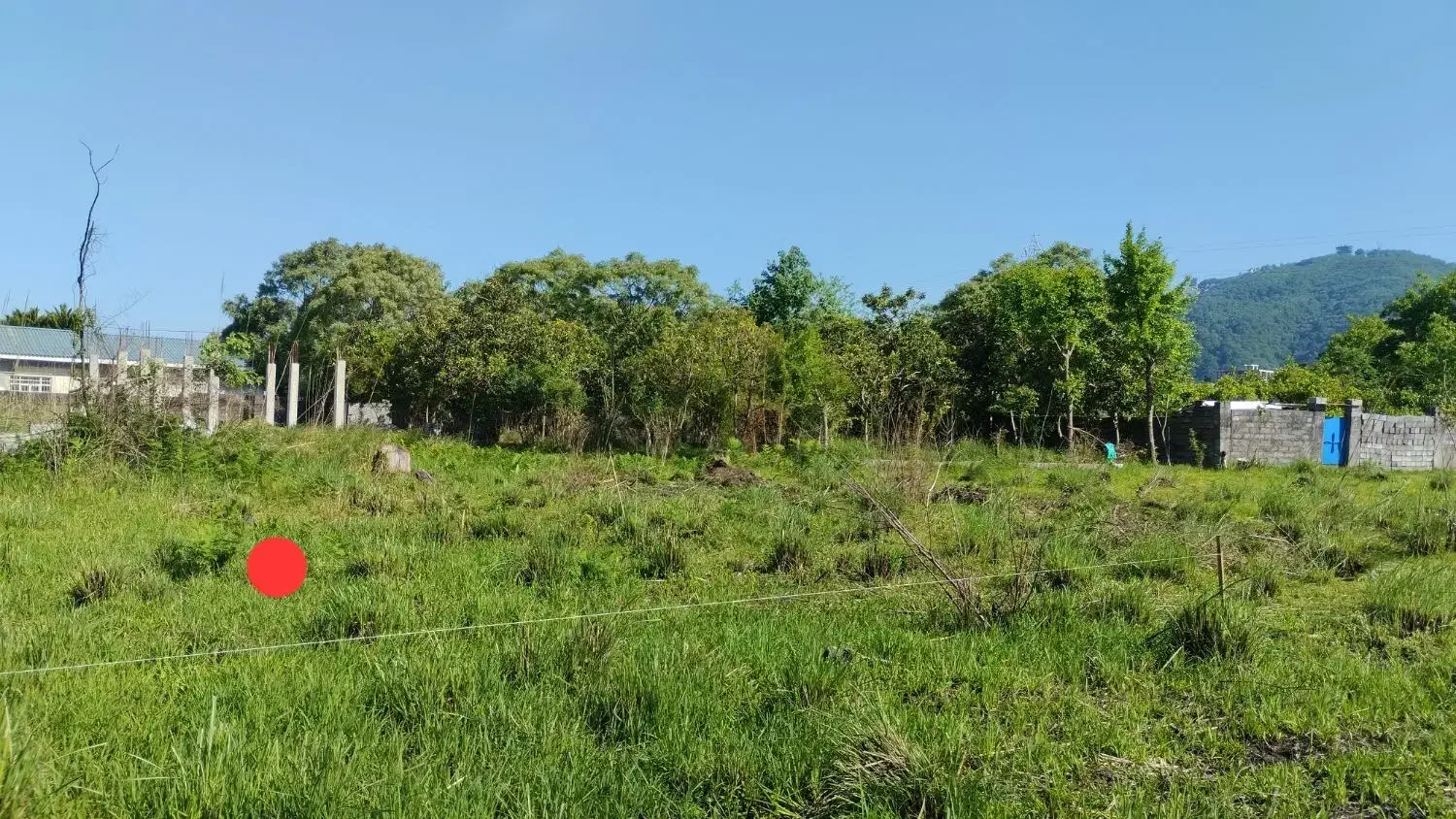 فروش زمین مسکونی|فروش زمین و ملک کلنگی|رامسر, |دیوار