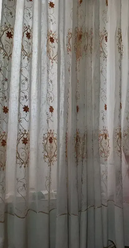 موکت و پرده|موکت|مشهد, مصلی (کارمندان اول)|دیوار