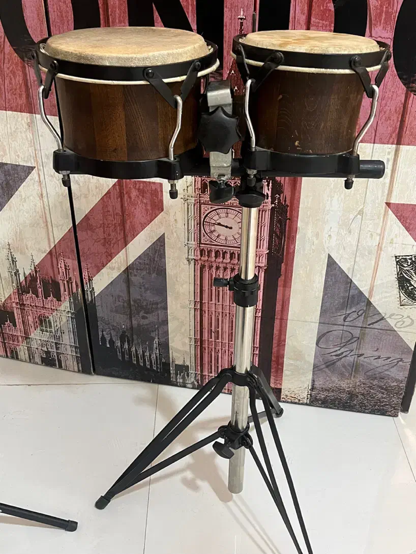 بانگو بینگو|درام و پرکاشن|شیراز, وصال|دیوار