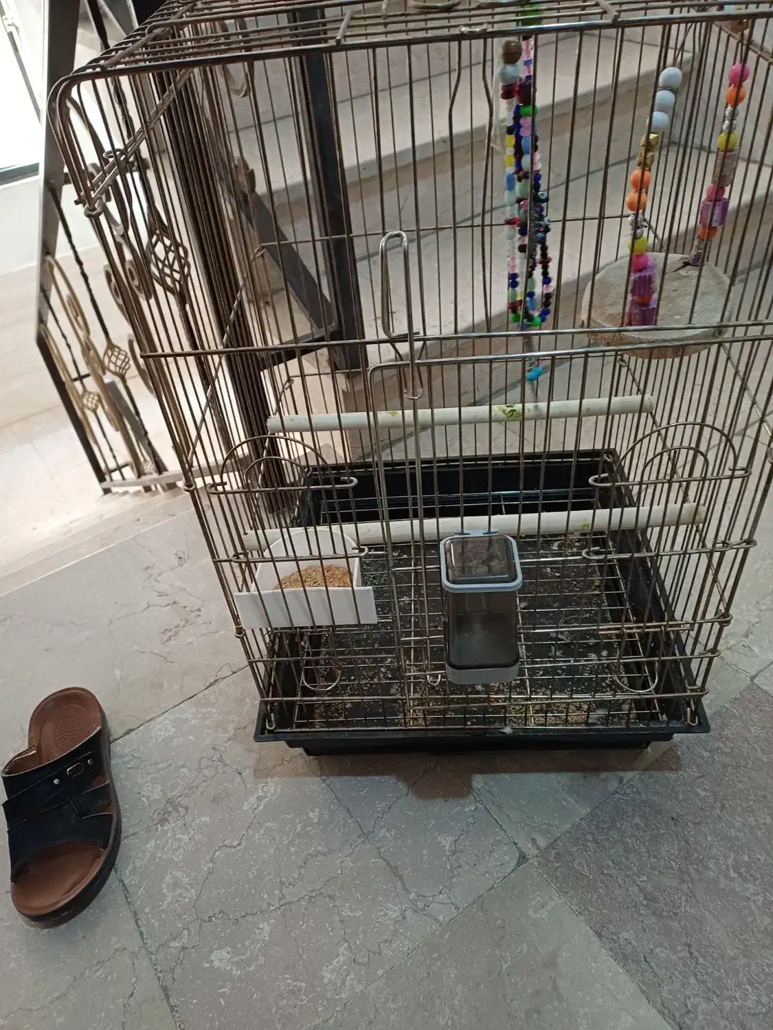 قفس عروس هلندی بزرگ در حد نو|لوازم جانبی حیوانات|نسیمشهر, |دیوار