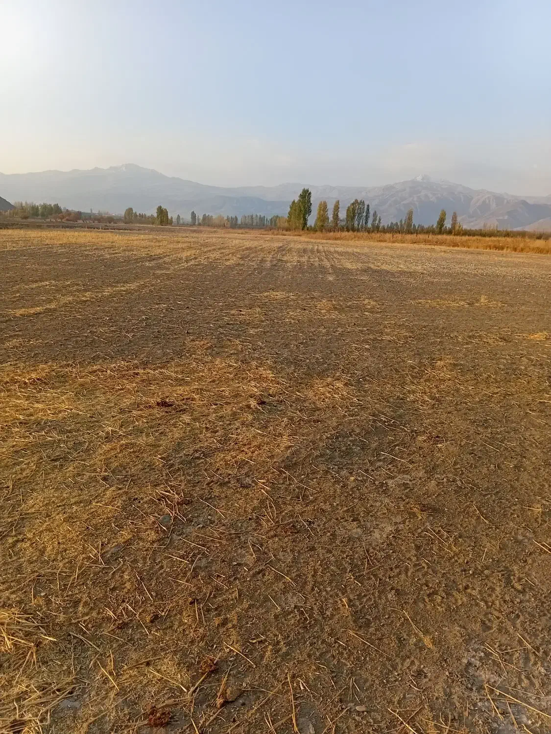 ملک آبی|فروش زمین و ملک کلنگی|سیلوانه, |دیوار