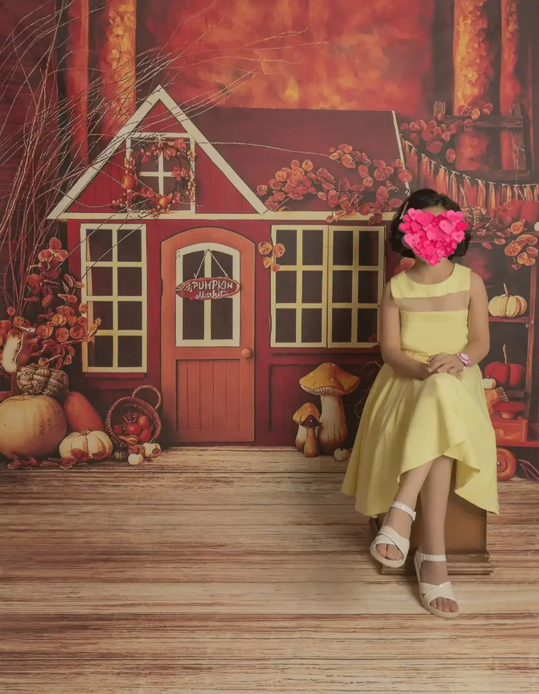 بک دراپ شیک و ترند|دوربین عکاسی و فیلم‌برداری|شیراز, عفیف‌آباد|دیوار