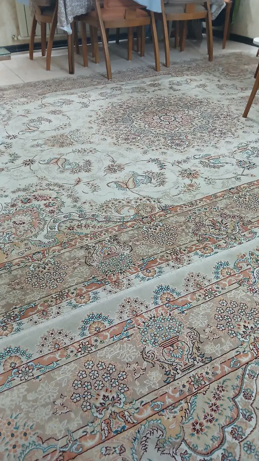 فرش ۹متری مشهد،تماس رضائیان|فرش|شاندیز, |دیوار