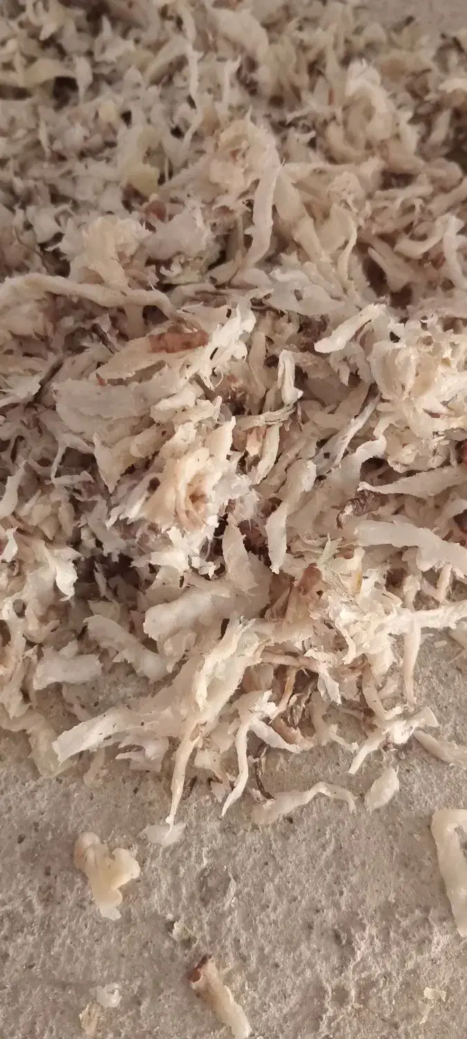 چغندر برای گاو گوساله گوسفند و بره|حیوانات مزرعه|اردبیل, |دیوار