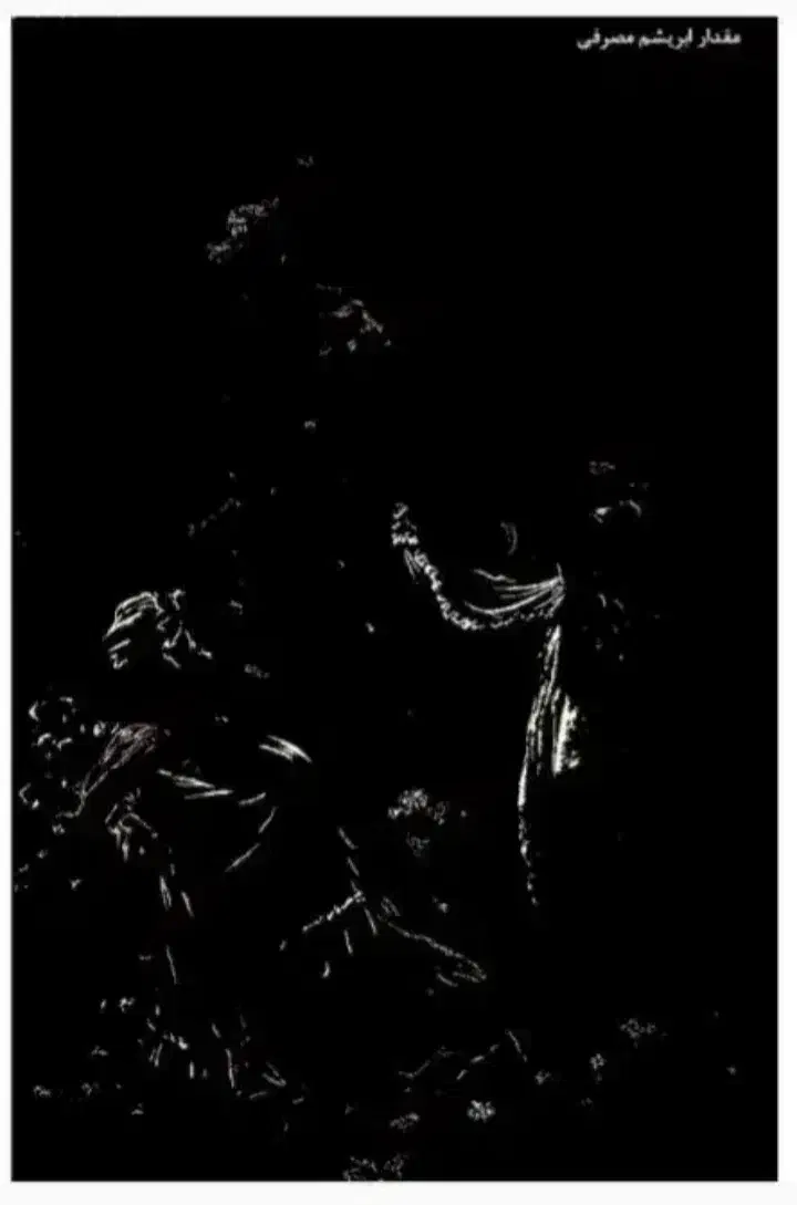 فروش تابلوفرش نیمه کاره|تابلو فرش|همدان, |دیوار