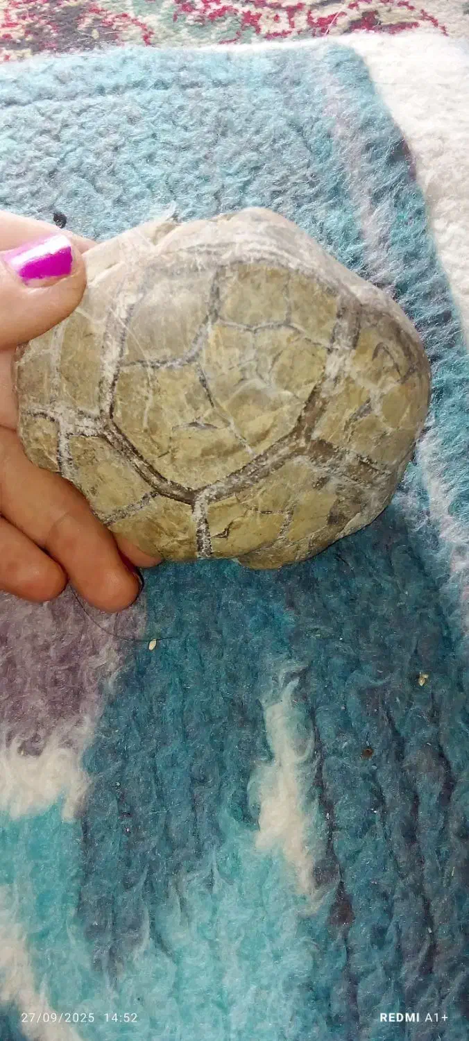 سنگ زینتی|جواهرات|آشخانه, |دیوار