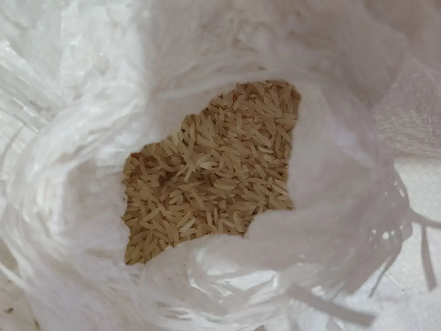 برنج فجر امسال|خوردنی و آشامیدنی|فاضل آباد, |دیوار