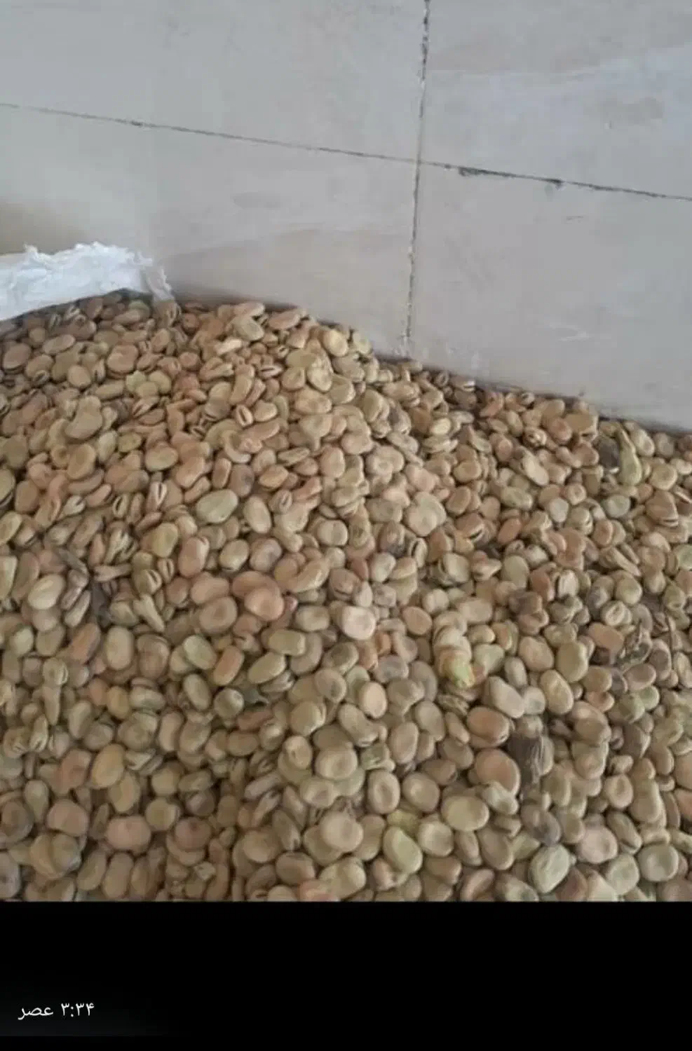 باقله|خوردنی و آشامیدنی|مرودشت, ثبت احوال|دیوار