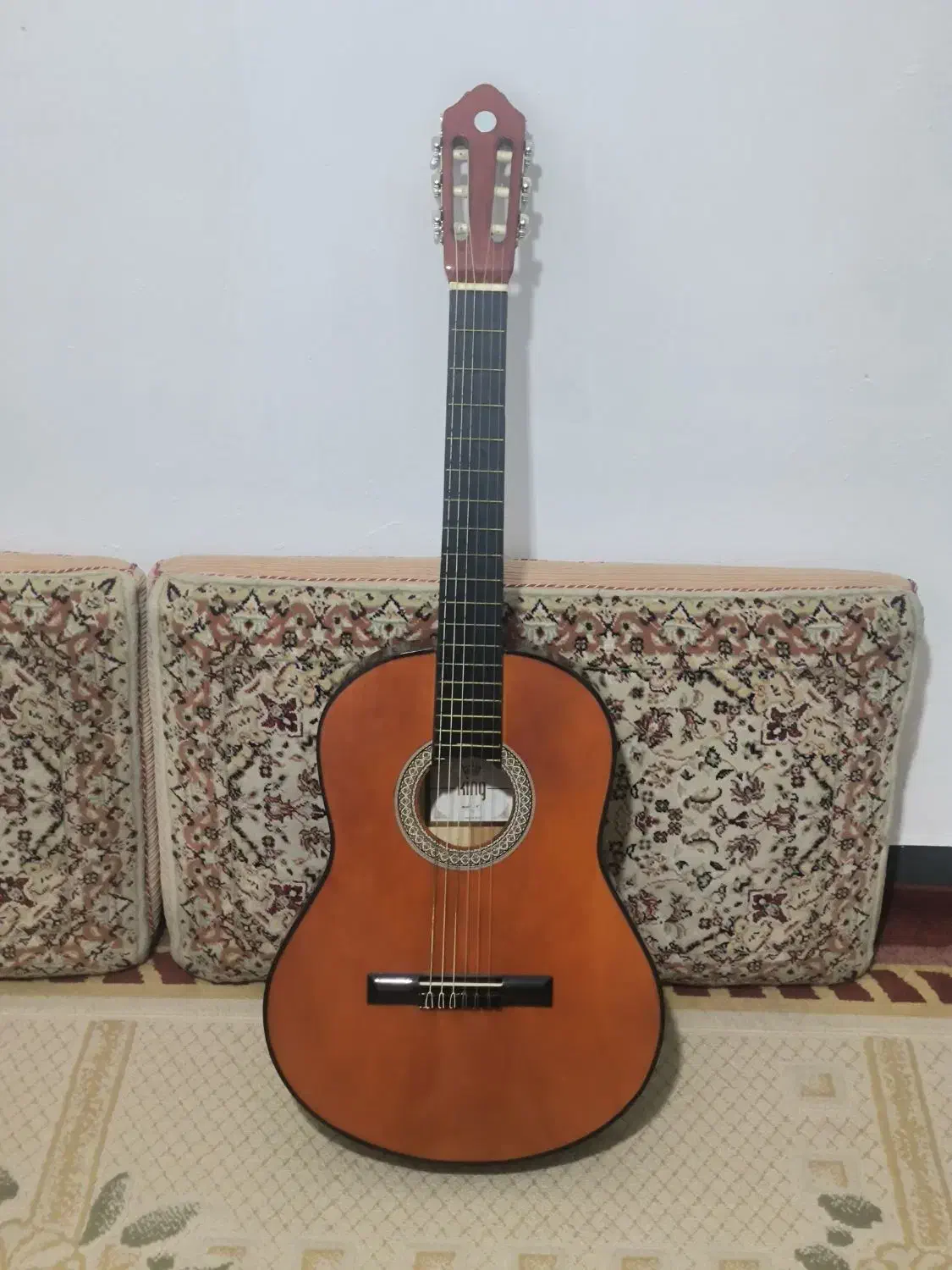 گیتار|گیتار، بیس، امپلیفایر|دورود, |دیوار