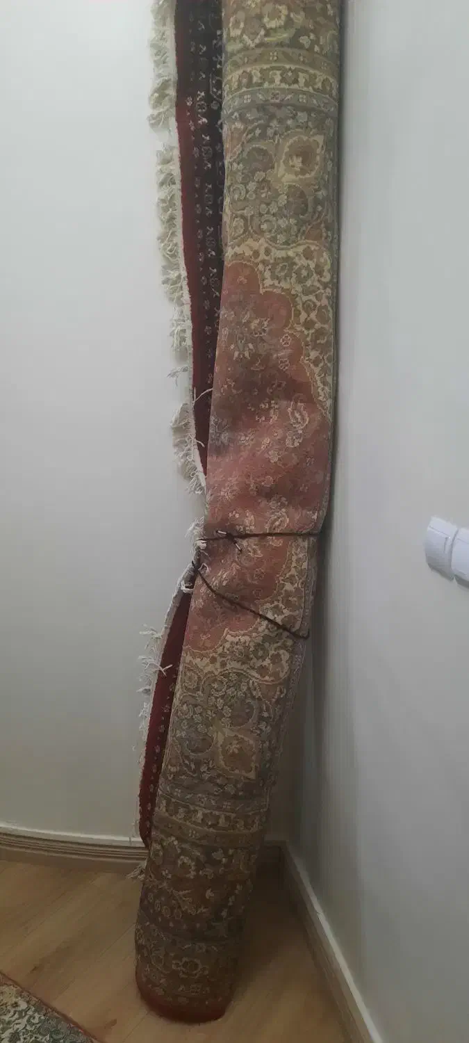 فرش ماشینی ۹ متری در حدنو|فرش|تبریز, |دیوار