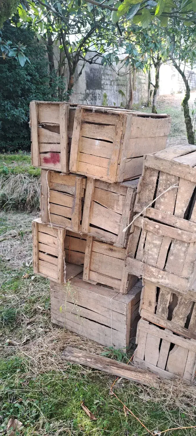 سبد چوبی|خدمات باغبانی و درختکاری|سلمان‌شهر, |دیوار