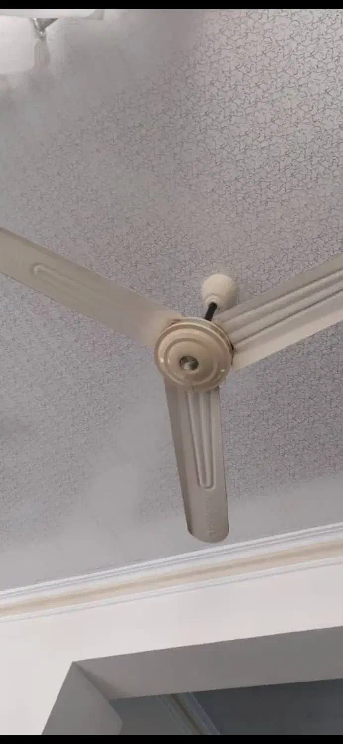 پنکه سقفی کاملا سالم|پنکه و تصفیهکنندهٔ هوا|رشت, یخسازی|دیوار