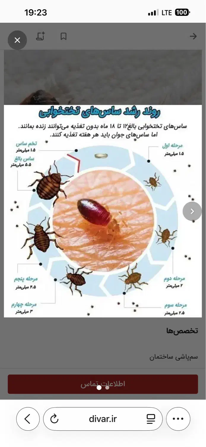 سمپاشی و موریانه زدایی با ضمانت کتبی (محمد حسینی )|خدمات نظافت|خرم‌آباد, |دیوار