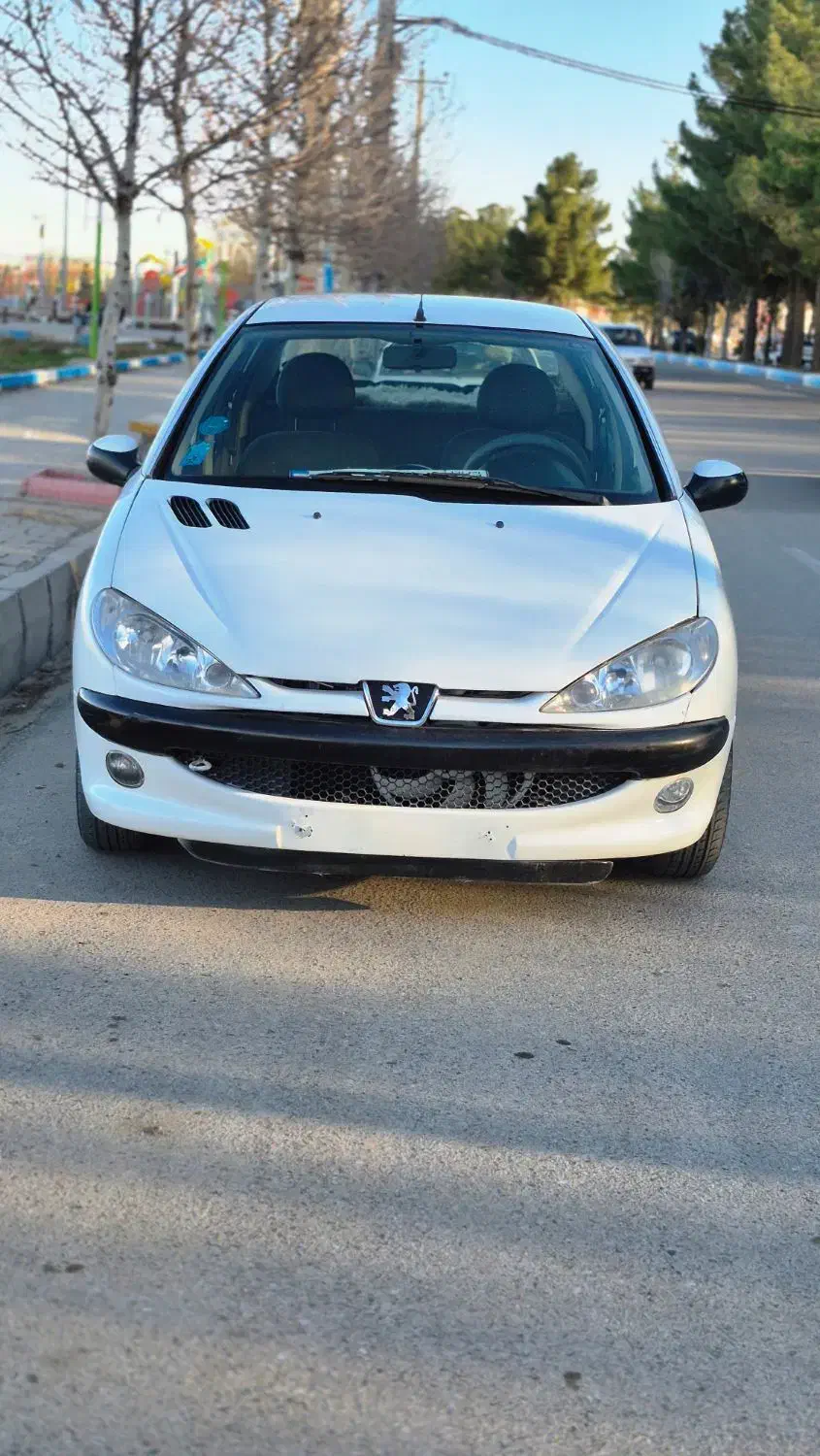 206sdمدل 89|خودرو سواری و وانت|میاندوآب, |دیوار