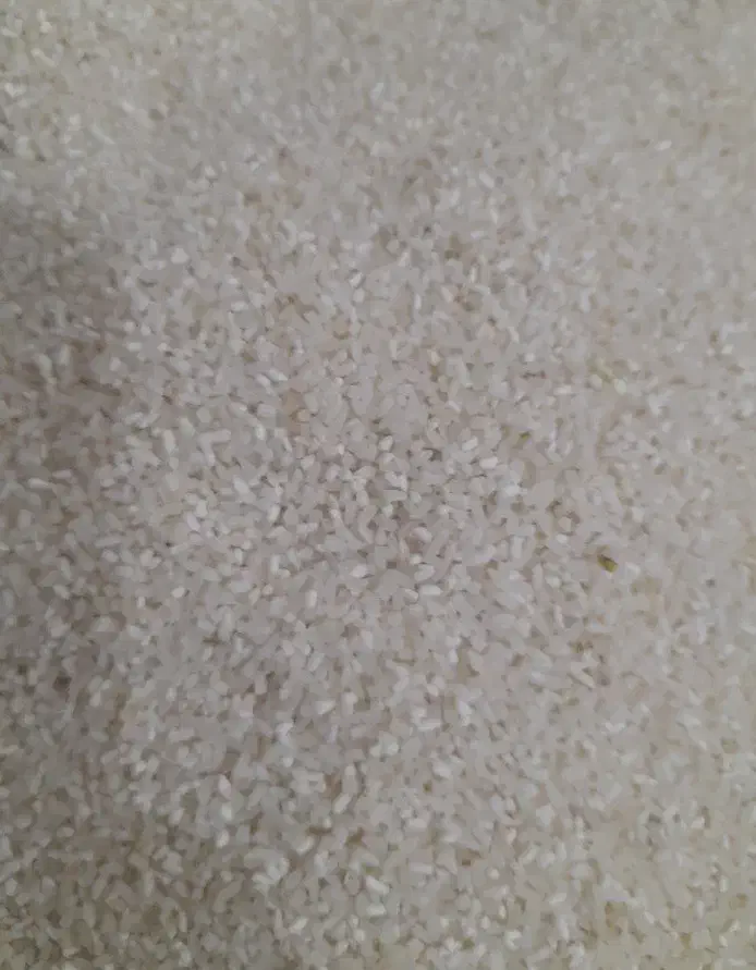 نیم دانه فجر سوزنی|خوردنی و آشامیدنی|بندر ترکمن, |دیوار