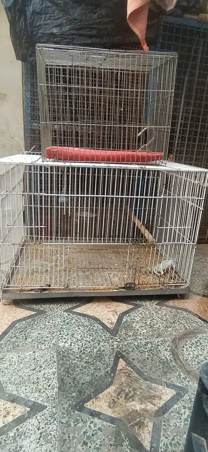 قفس|لوازم جانبی حیوانات|بندرعباس, |دیوار