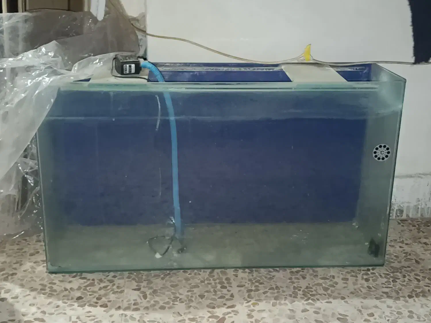 اکواریوم شیشه خم سالم|ماهی|ساوه, |دیوار