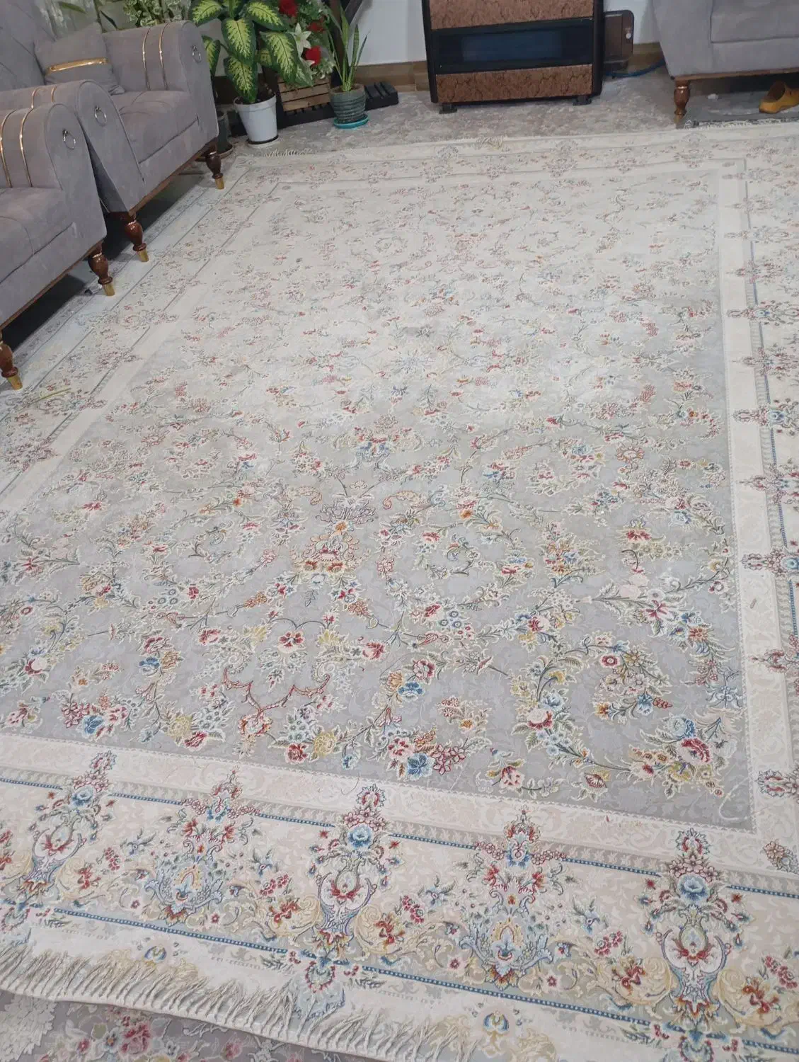 9متری افشان نخ عالی فیلی|فرش|کاشان, قطب راوندی|دیوار