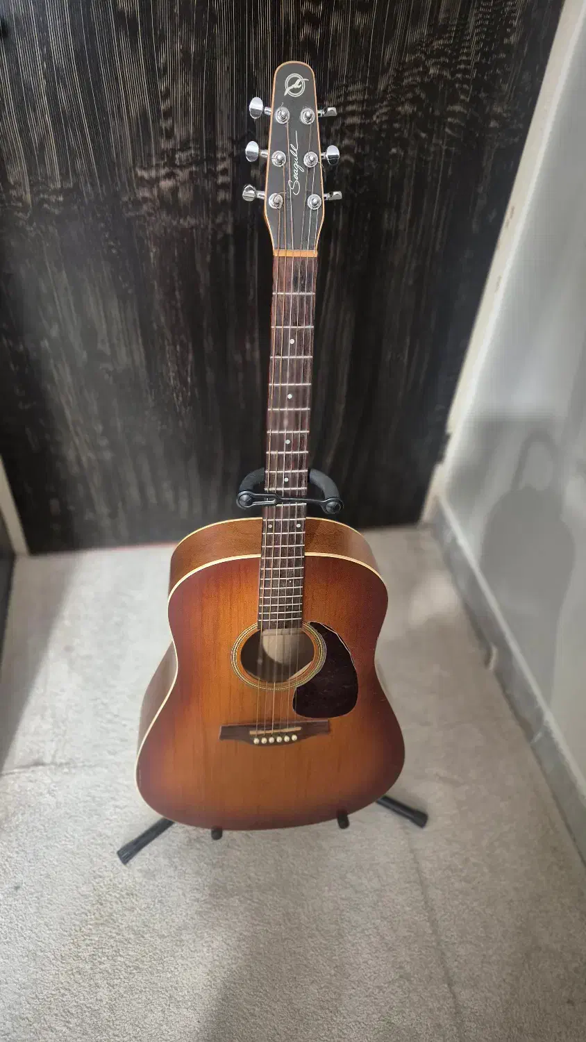 گیتار آکوستیک برند سیگال|گیتار، بیس، امپلیفایر|تهران, سوهانک|دیوار