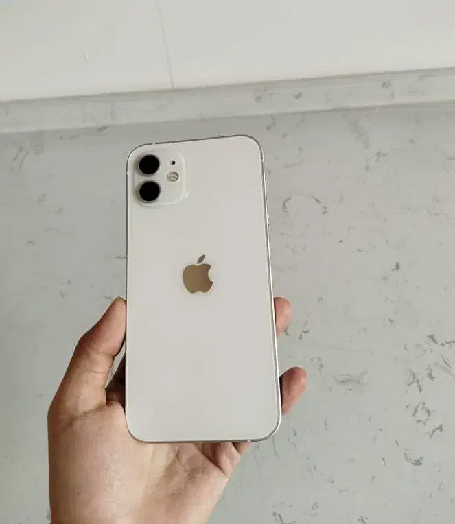ایفون ۱۲ نرمال ۱۲۸ دوسیم پک اصلی|موبایل|لار, |دیوار