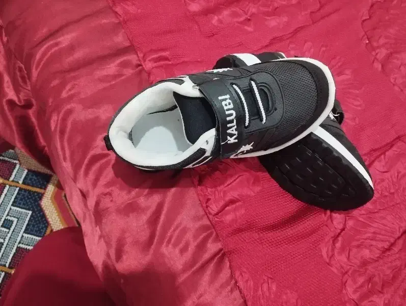 فروش کفش بچگانه|کفش و لباس بچه|شیراز, قلعه نو|دیوار